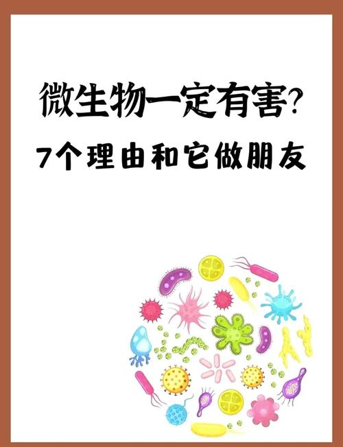 2025年5月17日
