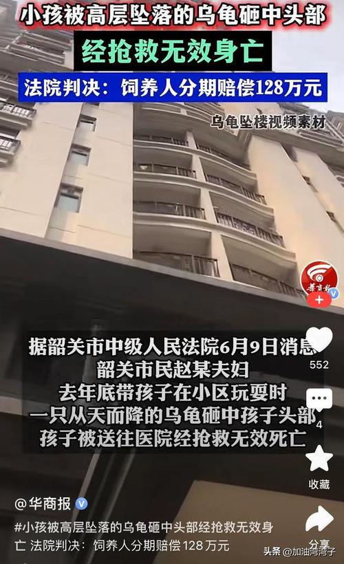 新澳2025年正版资料和小孩被天降乌龟砸死与被天上掉下来的乌龟砸死的人