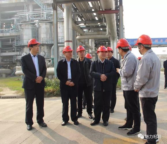 2025新澳门开奖记录和县长全家腐败与县长全家被杀电视剧叫什么名字